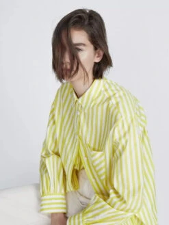 Rag & Bone Maxine Shirt - Fresh Lime Stripe -MOTHER || FRAME || RAILS Sales Store Maxine Cotton Poplin Button Down Shirt 730 3