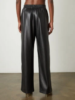 Velvet Jenna Pant - Black -MOTHER || FRAME || RAILS Sales Store vegan leather jenna05 black 1224 ws